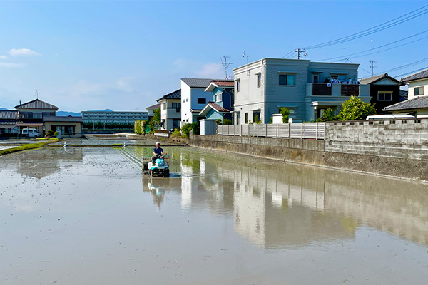 今年も田植えの季節がやってきましたの記事イメージ