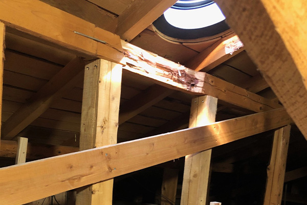屋根裏の様子